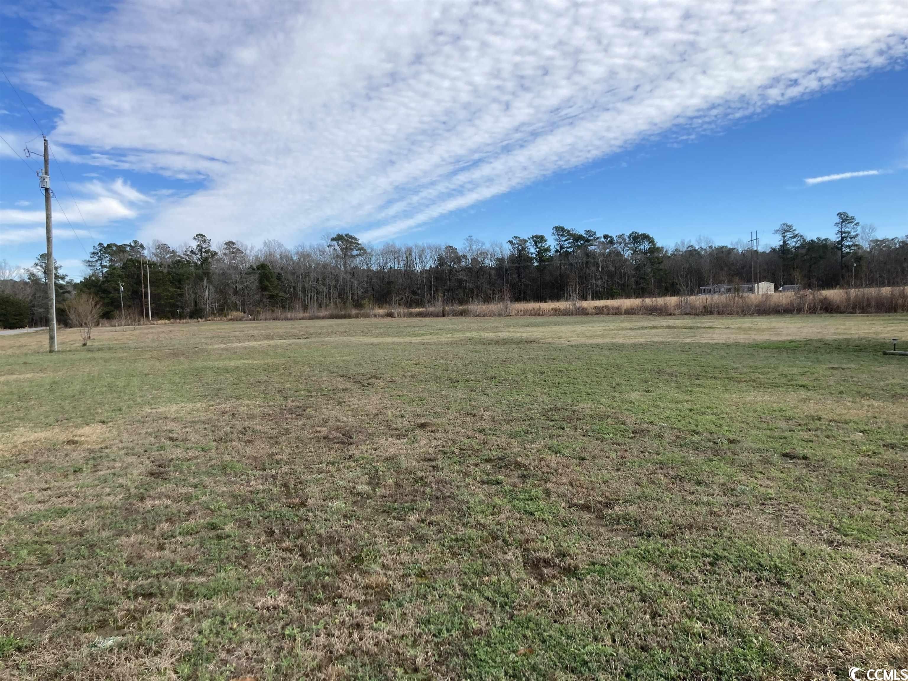 1.43 Acres, 9 Vox Hwy., Johnsonville, SC 29555 Land and Farm