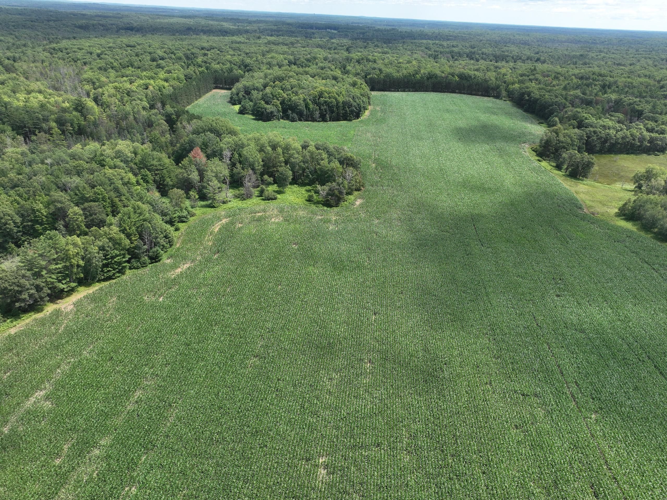 194.16 Acres, Barnes Lake Road, LotWP001, Dunbar, WI 54119 Land and Farm