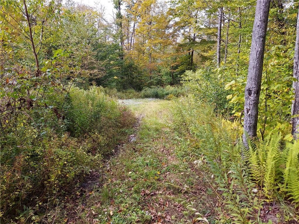 126.7 Acres, 0 Dry Brook Road, Hancock, NY 13783 Land and Farm