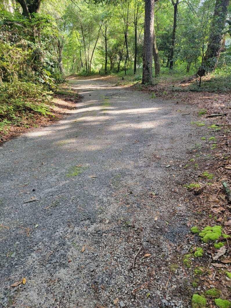 10.3 Acres, 261 Aiken Road, Wagener, SC 29164 Land and Farm