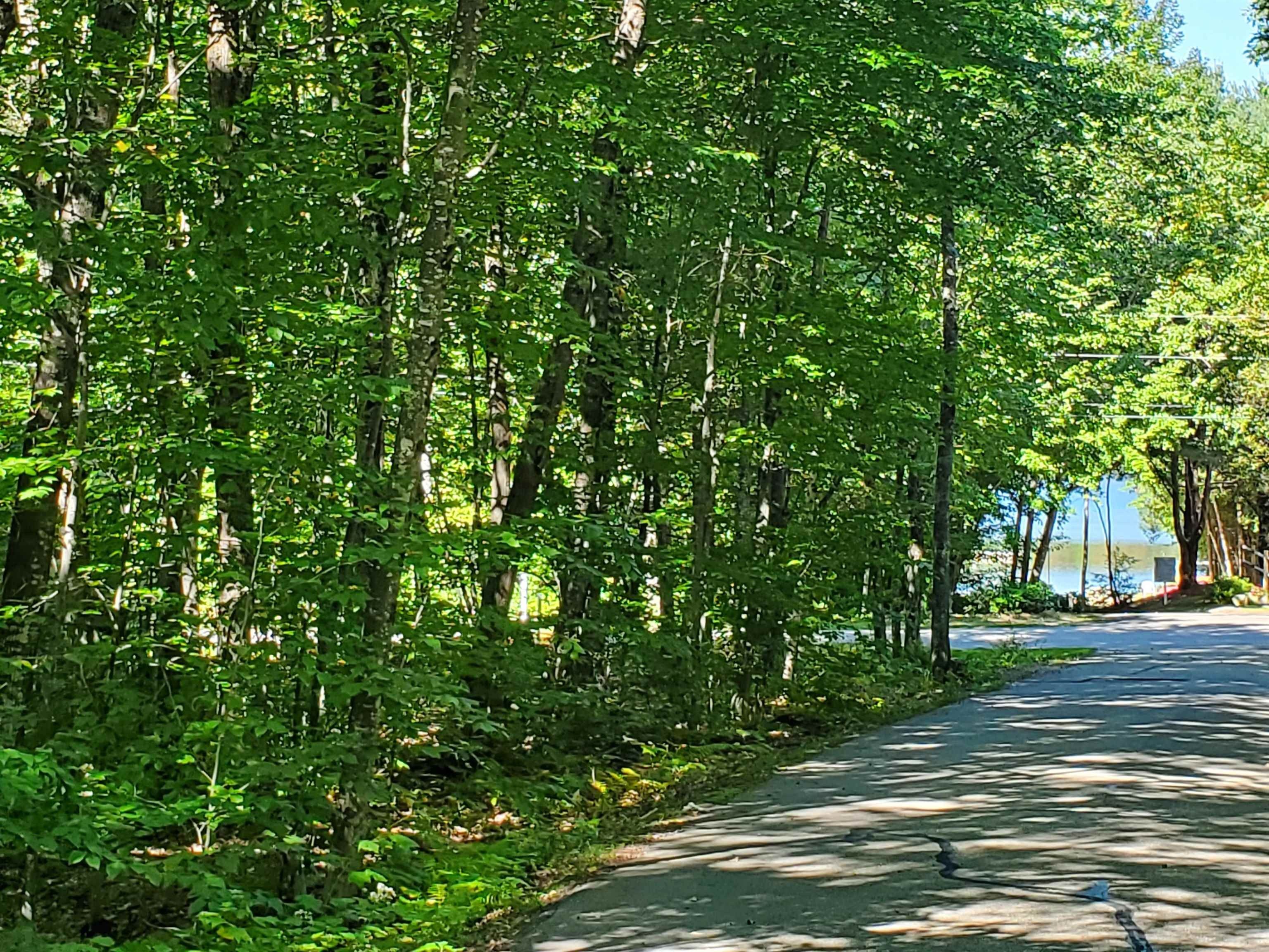 0.3 Acres, Lot 42 Heritage Road, Tuftonboro, NH 03816 Land and Farm