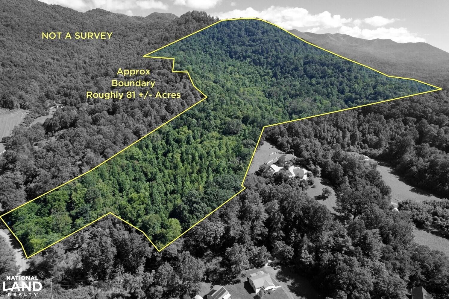 81 Acres, 9999 Dills Cove Road, Sylva, NC 28779 Land and Farm