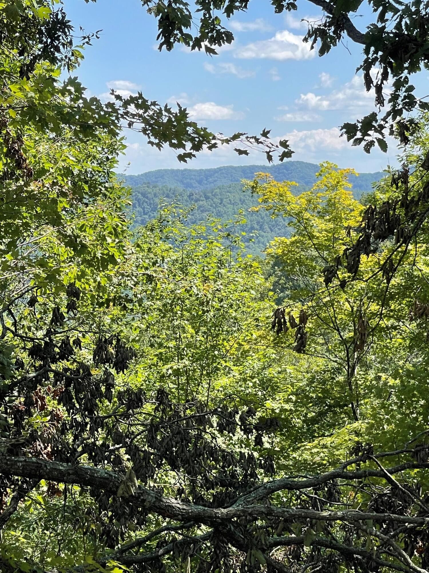 14 Acres, Off New Hope Road, Sneedville, TN 37869 Land and Farm