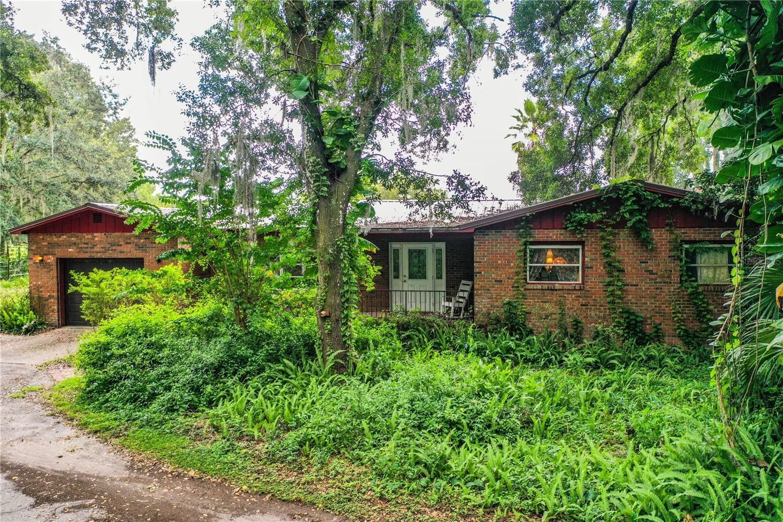 8.76 Acres, 5303 TILLMAN ROAD, Lakeland, FL 33810 Land and Farm