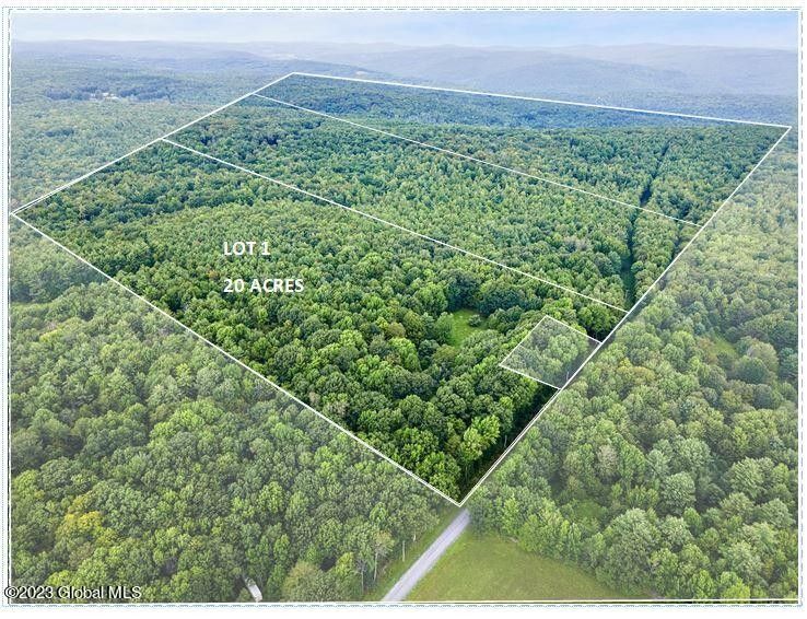20 Acres, L1 Cornell Road, North Blenheim, NY 12131 Land and Farm