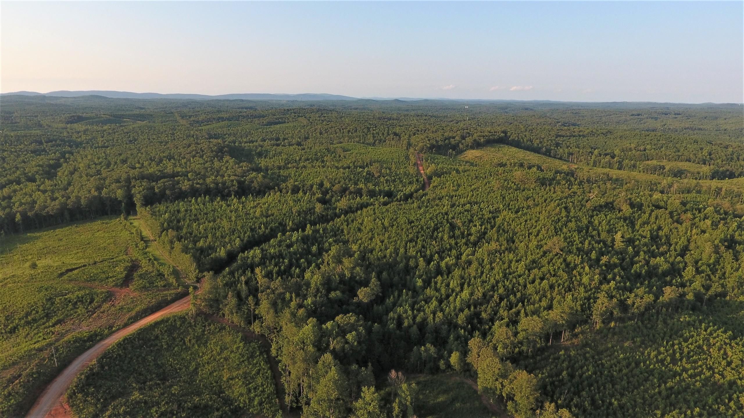 LotWP001, Goodwater, AL 35072 Land and Farm