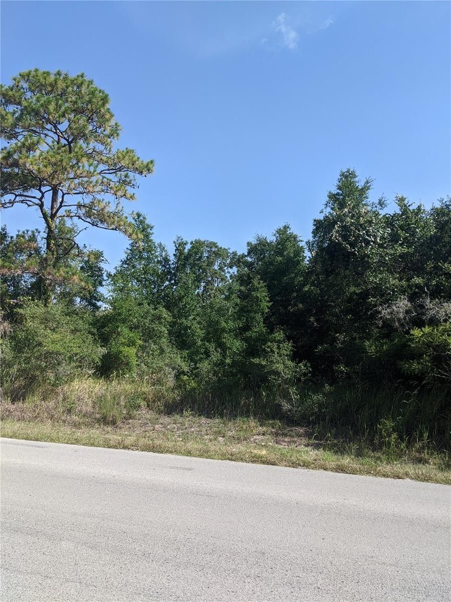 4.5 Acres, 00 LITTLE RANCH ROAD, Spring Hill, FL 34610 Land and Farm