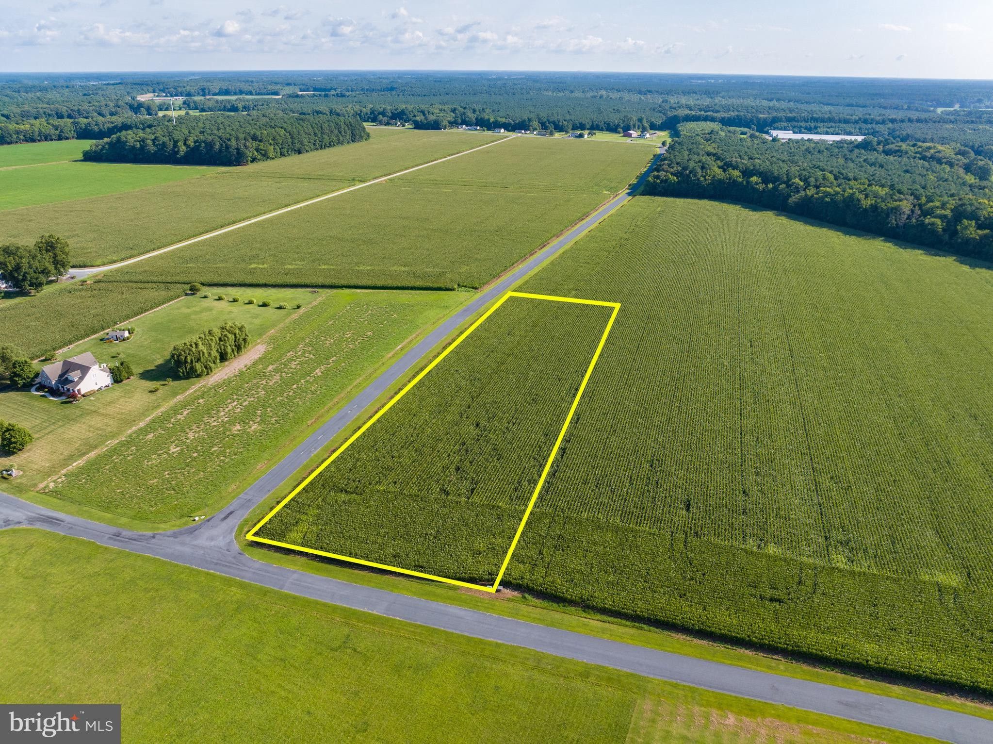 2.14 Acres, 28331 COVINGTON LANE, Princess Anne, MD 21853 Land and Farm