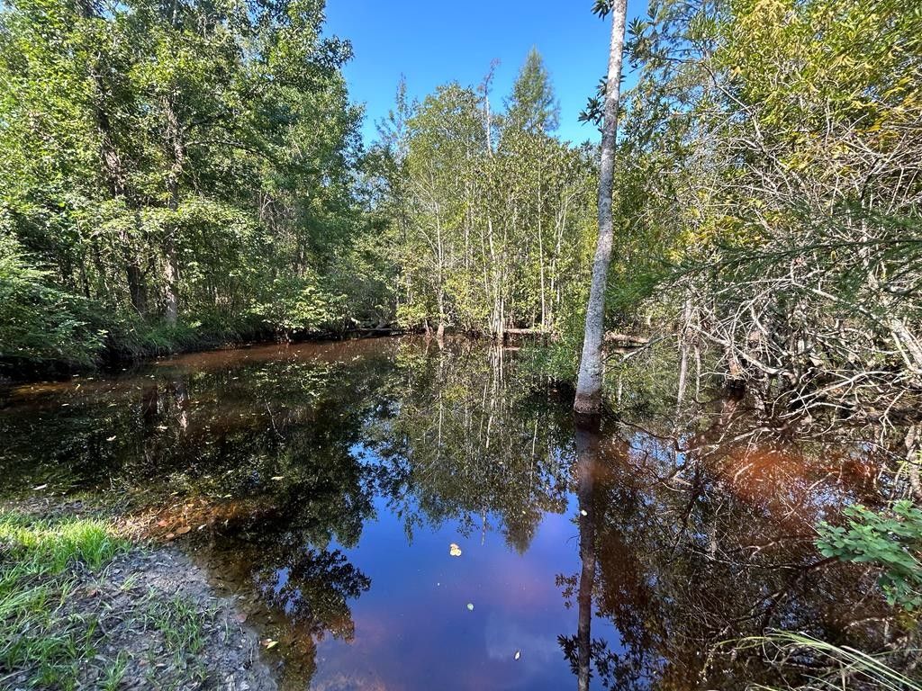 80.3 Acres, 80.3+ac Hwy 53/ Gene Terry Rd, Dothan, AL 36301 Land and