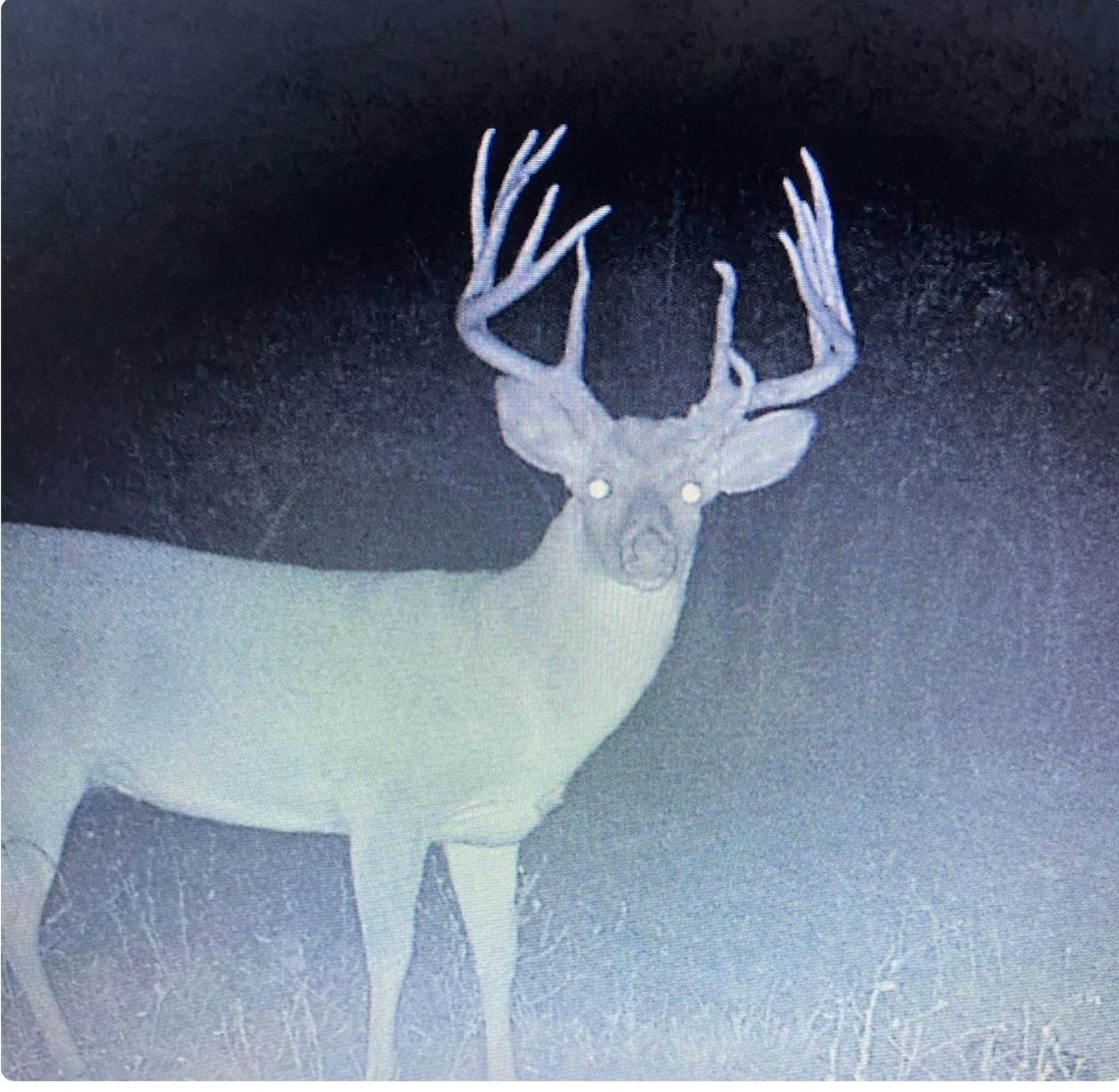 28.34 acres in Sylvester, GA, 31791 Land and Farm