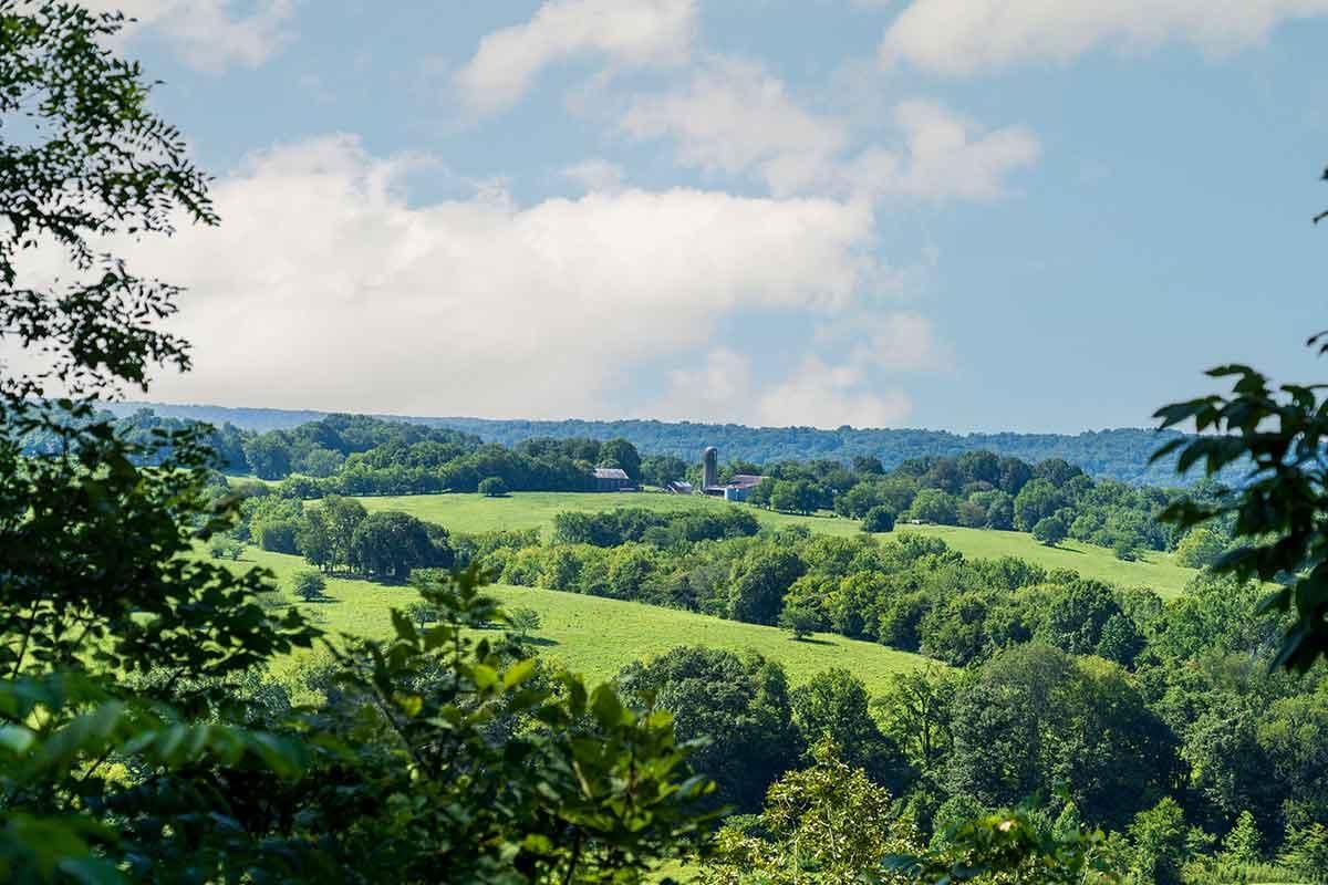 10 Acres, Hohenwald, TN 38462 Land and Farm