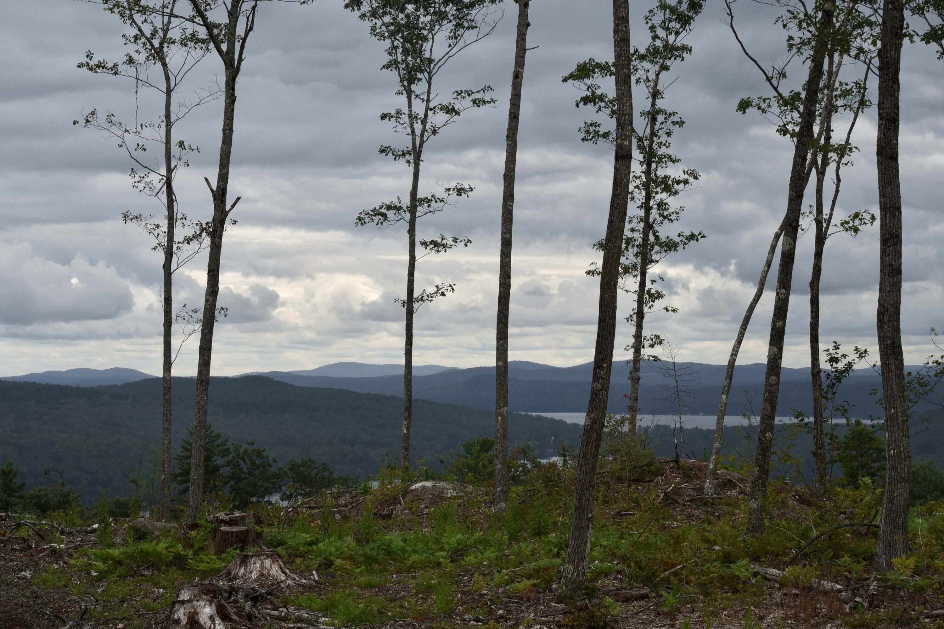 10 Acres, Tbd Deer Hill Road, Harrison, ME 04040 Land and Farm