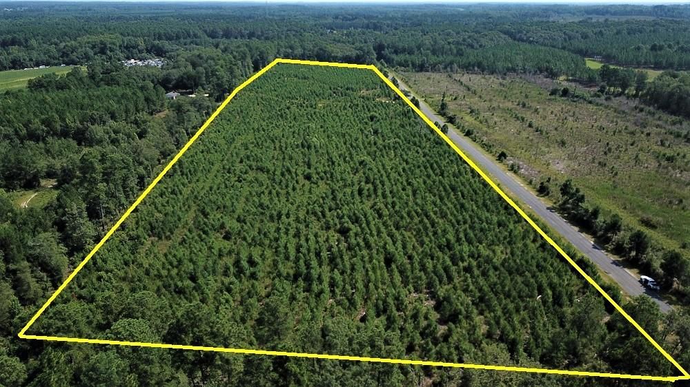 17.9 Acres, Coulter Rd, Saint Matthews, SC 29135 Land and Farm
