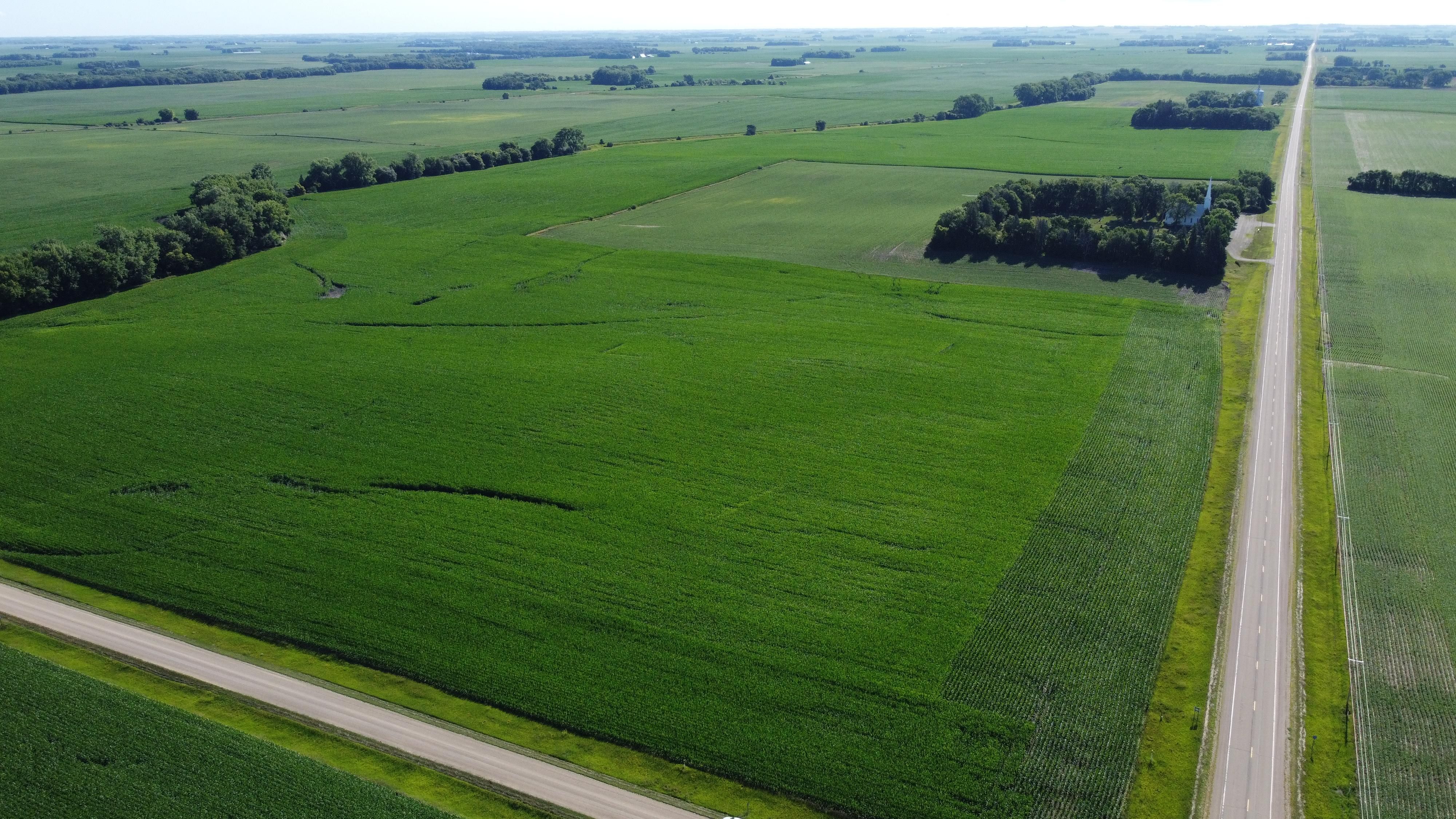 50th Street, Bricelyn, MN 56014 Land and Farm