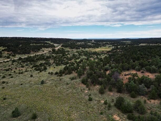 26.6 Acres, Candy Kitchen Rd. Road, Ramah, NM 87321 | Land and Farm