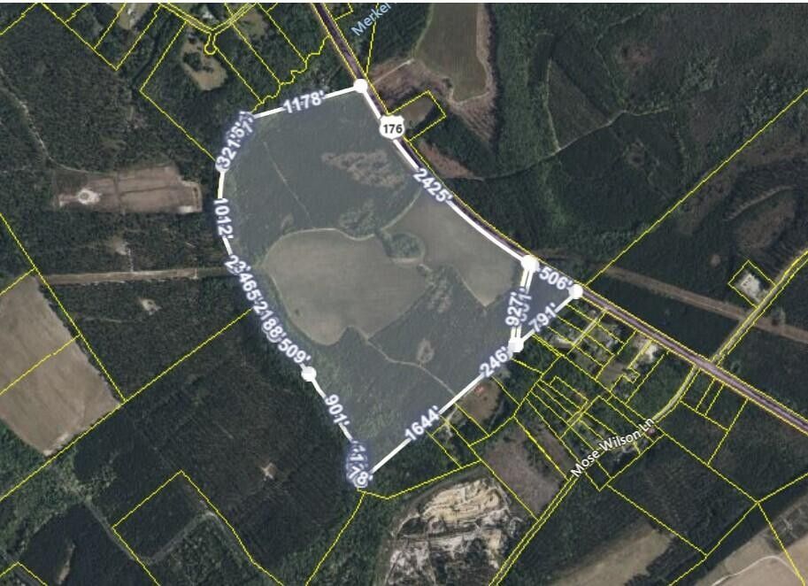 182 Acres, 4391 State Road, Ridgeville, SC 29472 Land and Farm