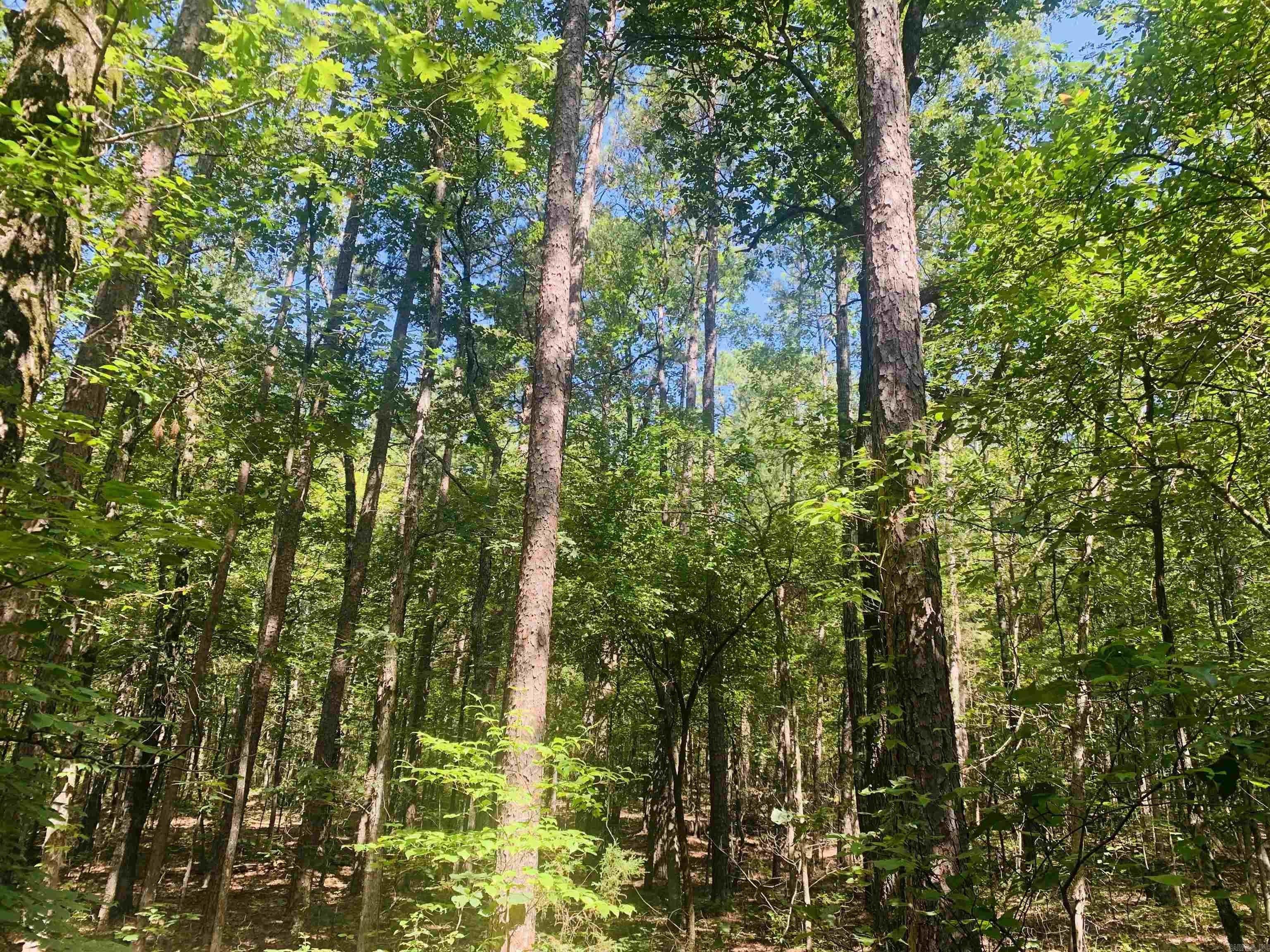 5 Acres, 317 Walkers Way, Clinton, AR 72031 Land and Farm