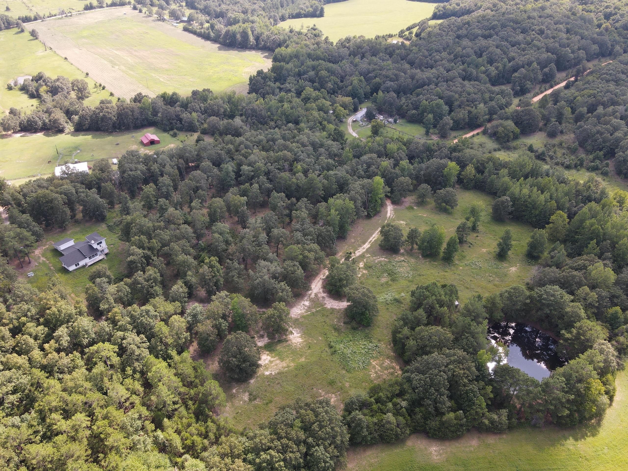 18 Acres, 1051 Toad Pole Lane, Sidney, AR 72577 Land and Farm