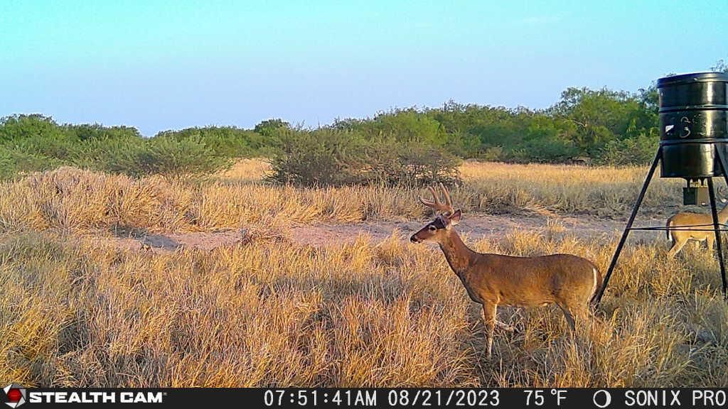 75 Acres, North of 14 Mile Line Road, McCook, TX 78541 Land and Farm