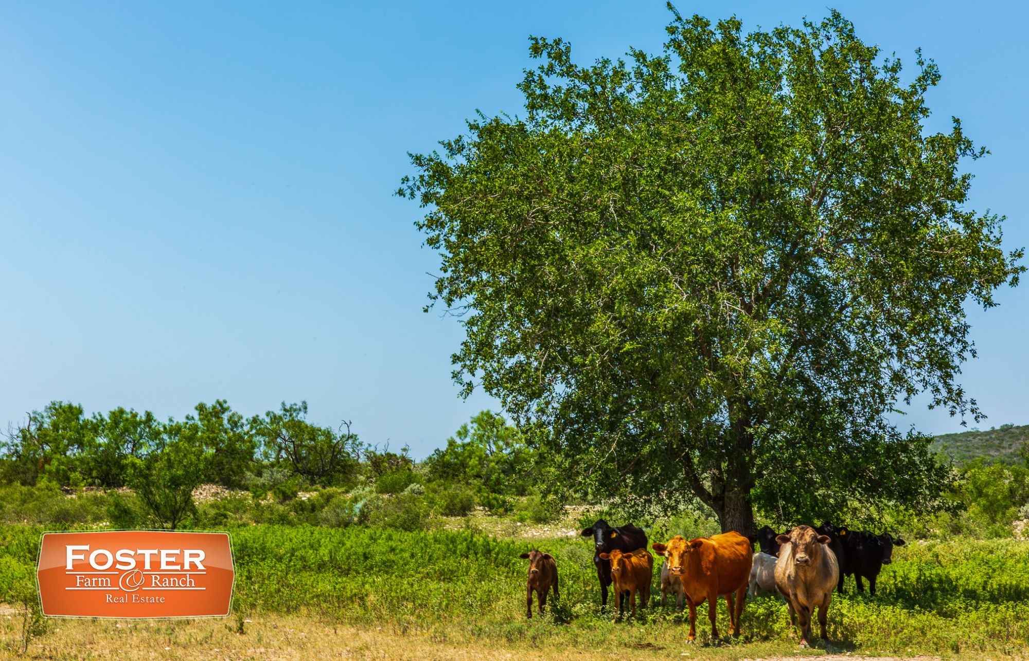 100 Acres, Uvalde, TX 78801 Land and Farm