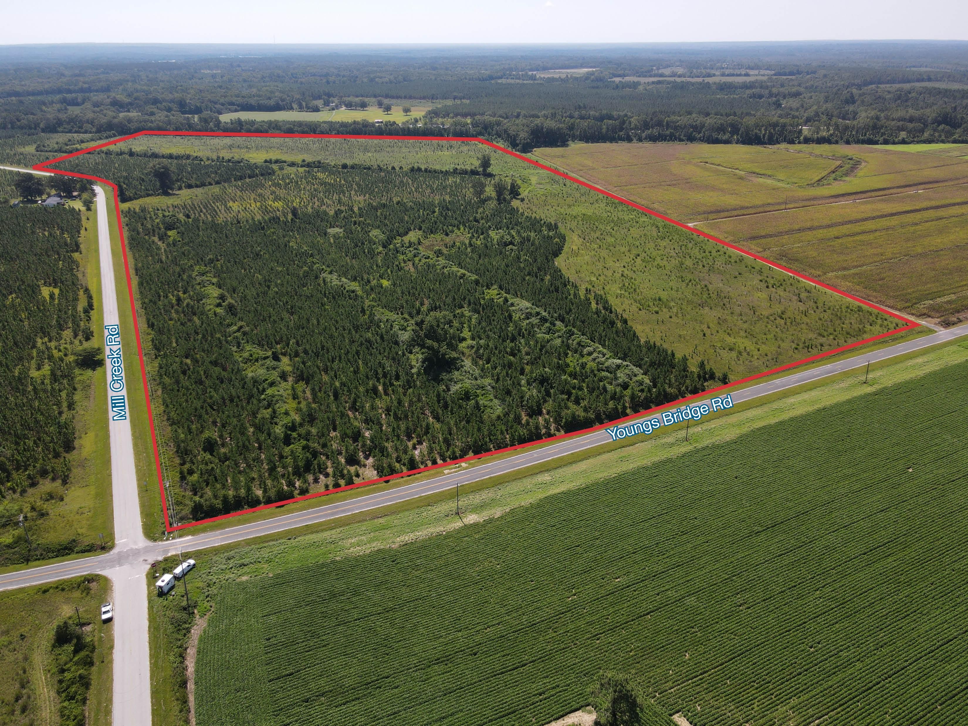 83 Acres, 2073 Mill Creek Road, Bethune, SC 29009 Land and Farm