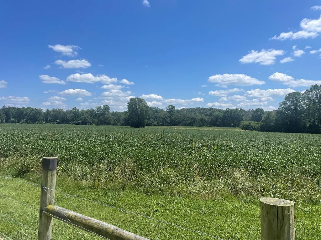 25.77 Acres, 25 ac Ditty Road, Cookeville, TN 38506 Land and Farm