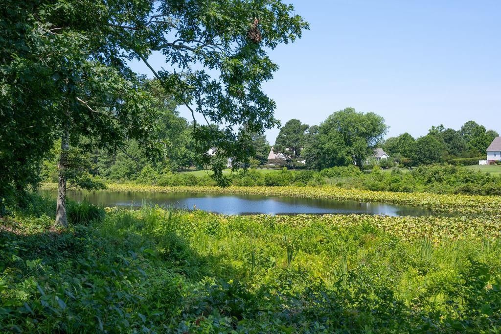 0.24 Acres, LOT 37 Middle Gate, Irvington, VA 22482 Land and Farm