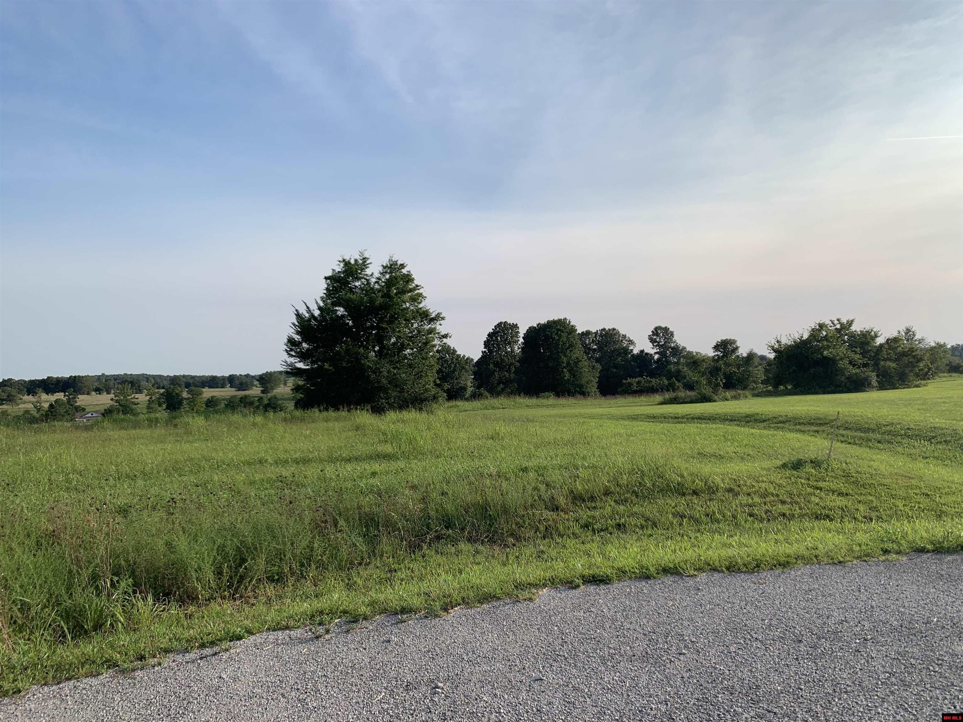 2.07 Acres, Lot 23 PARKMAN TERRACE, Gassville, AR 72635 Land and Farm
