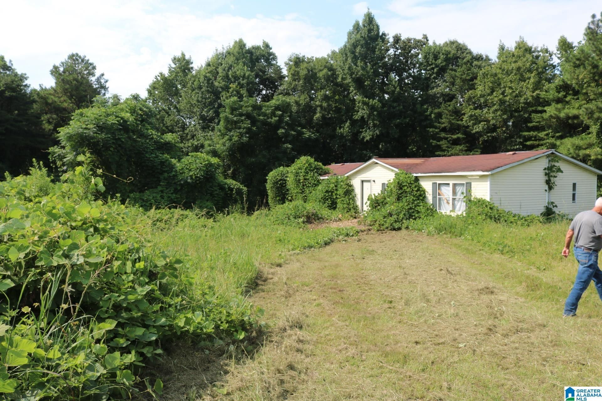 10 Acres, 1920 BRUCE SHAW ROAD, Adger, AL 35006 Land and Farm