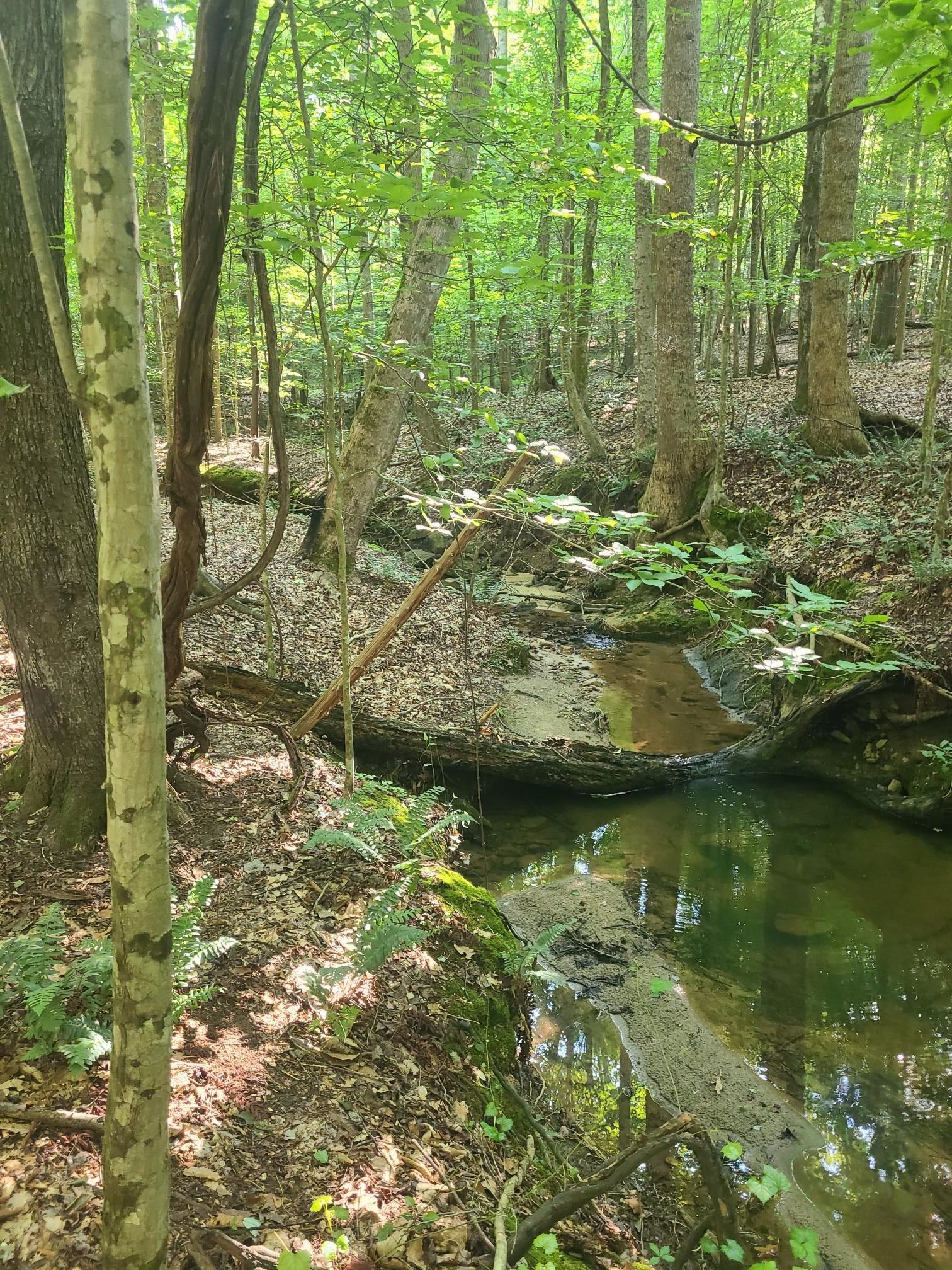 21.6 Acres, Gray Court, SC 29645 Land and Farm