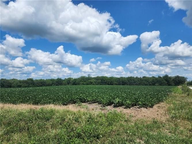 60.5 Acres, Nickel Avenue, Gallatin, MO 64640 Land and Farm