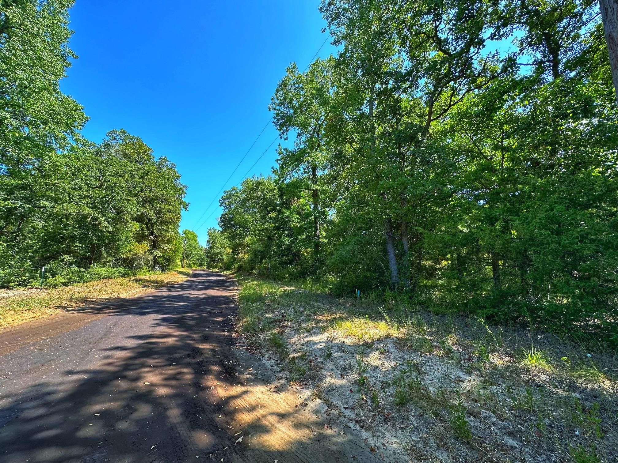 County Road 130, Centerville, TX 75833 Land and Farm