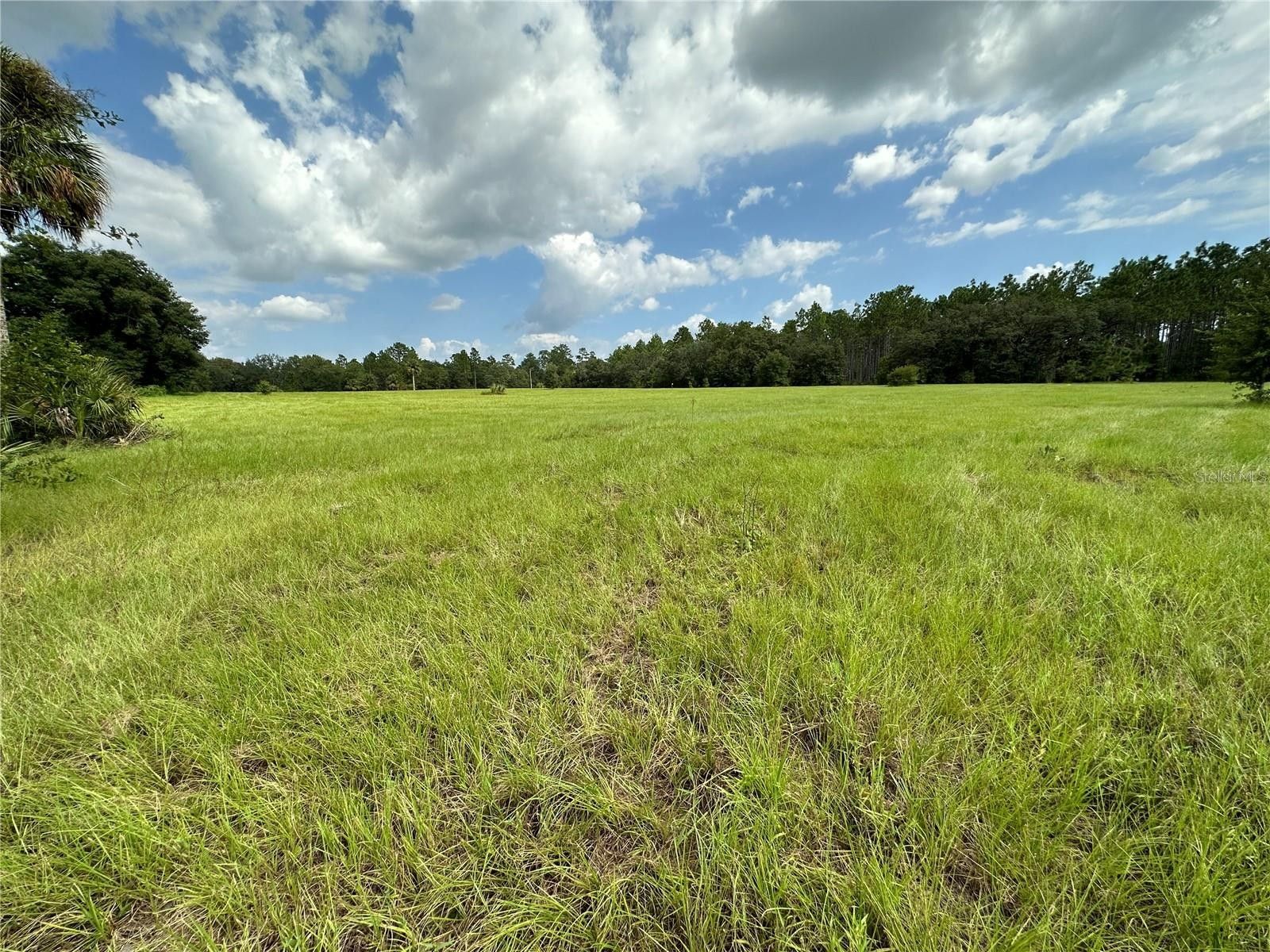 27.25 Acres, 9950 SE COUNTY ROAD 337, Dunnellon, FL 34431 Land and Farm