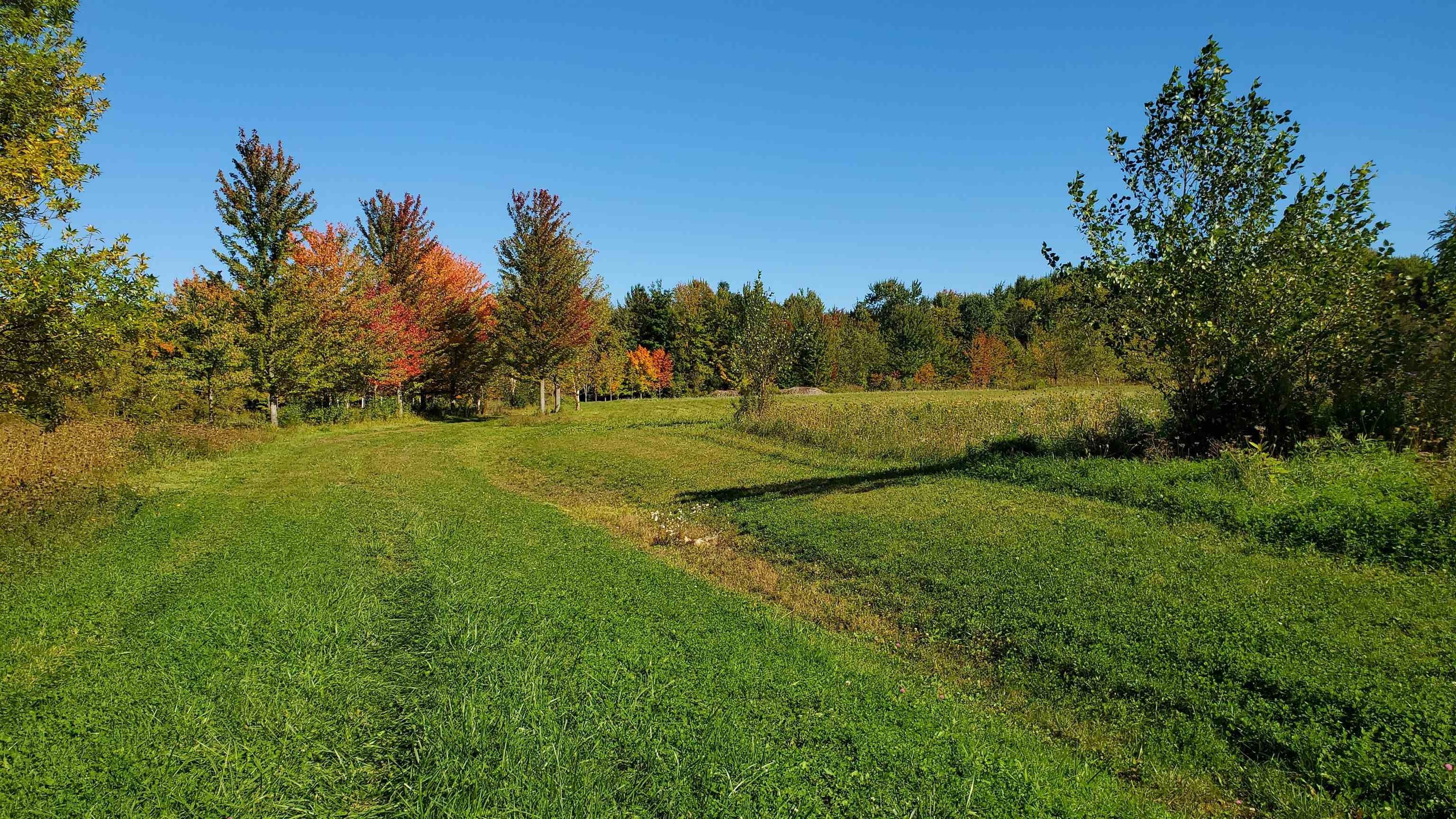 36.45 Acres, 251 Tamarak Road, Charlotte, VT 05445 Land and Farm
