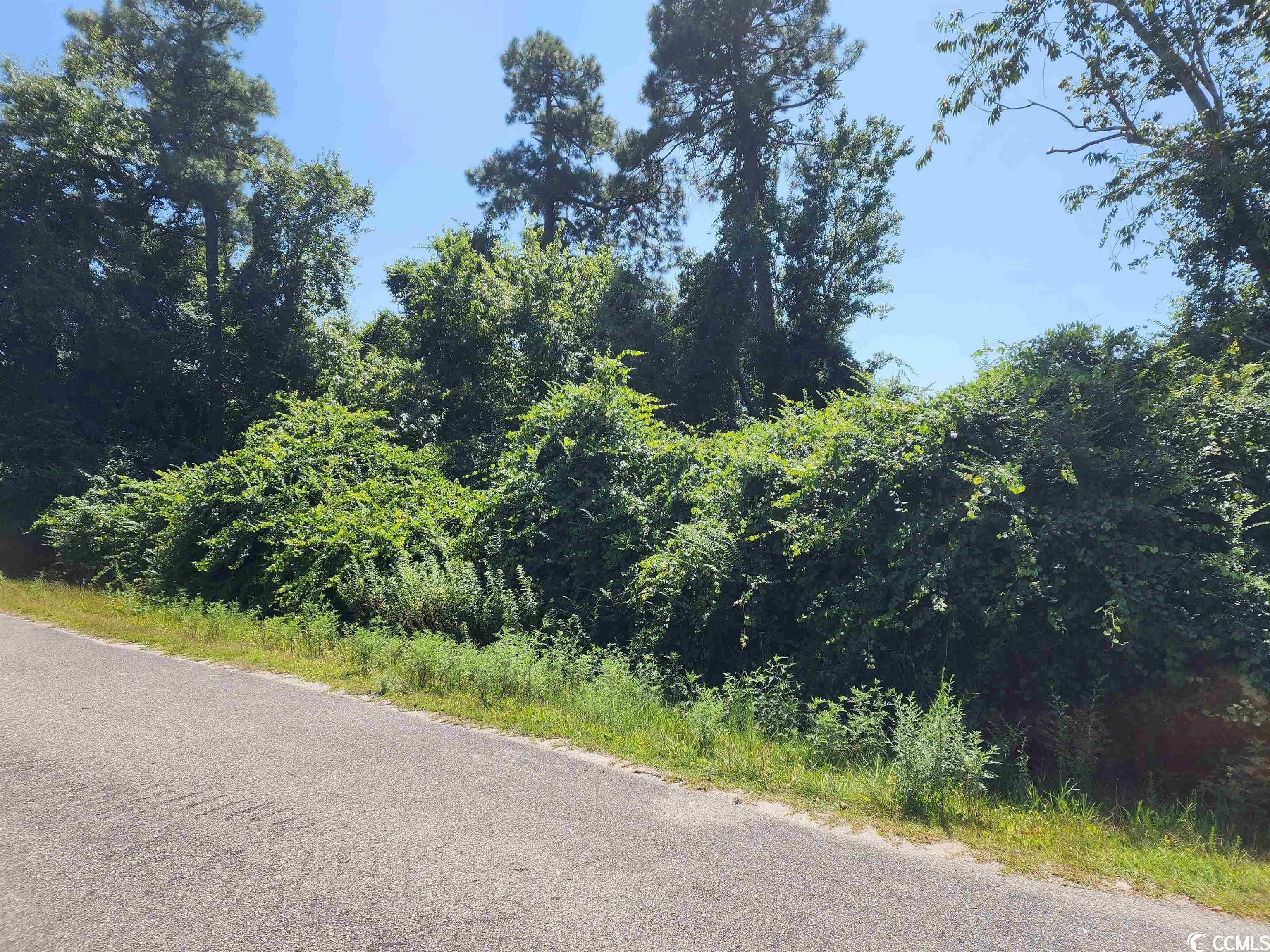 0.69 Acres, 2059 Mockingbird Ln., Loris, SC 29569 Land and Farm