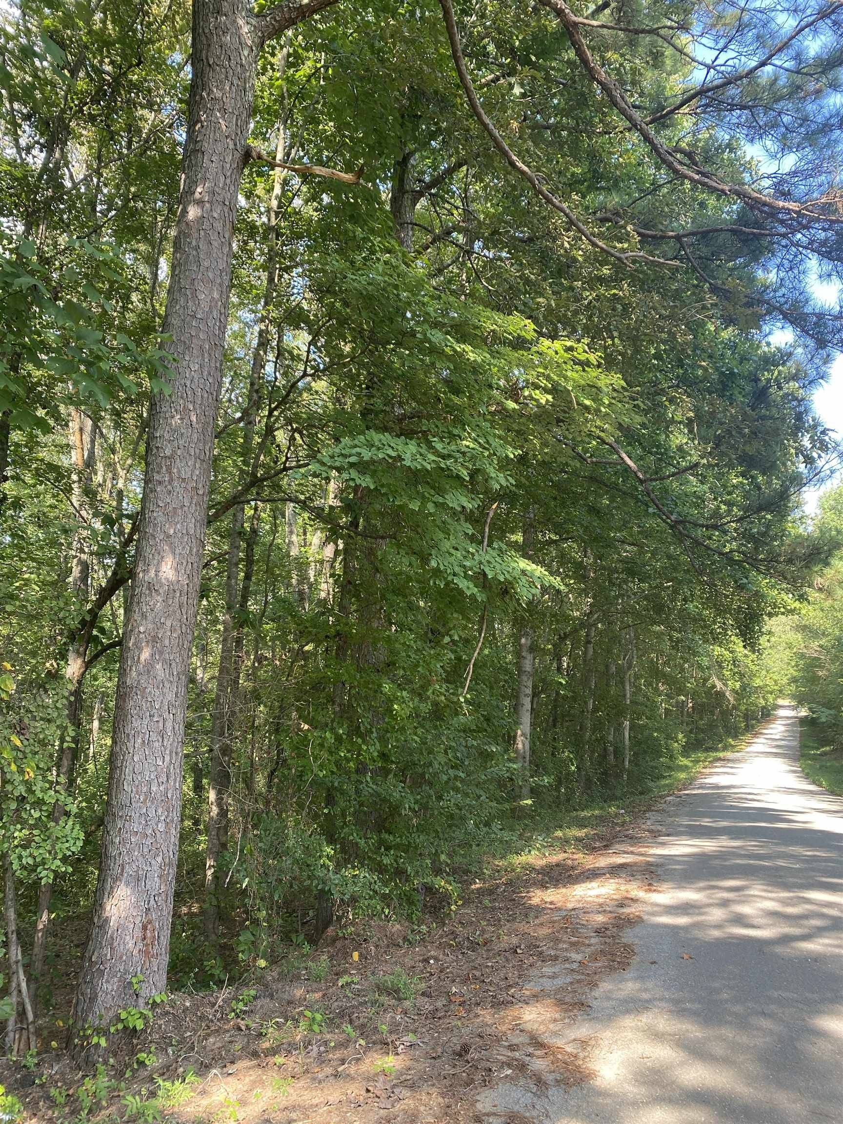 4.06 Acres, 0 Peachtree St, Vina, AL 35593 Land and Farm