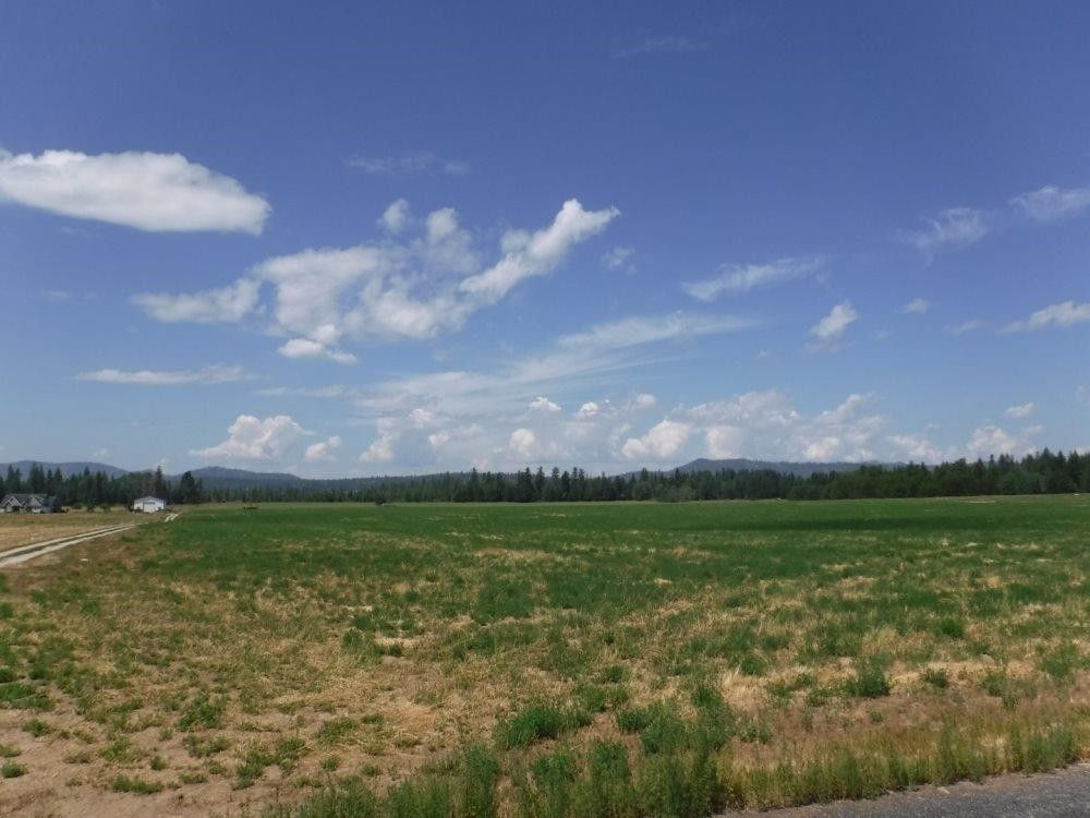 36.66 Acres, 39103 Short, Deer Park, WA 99006 Land and Farm