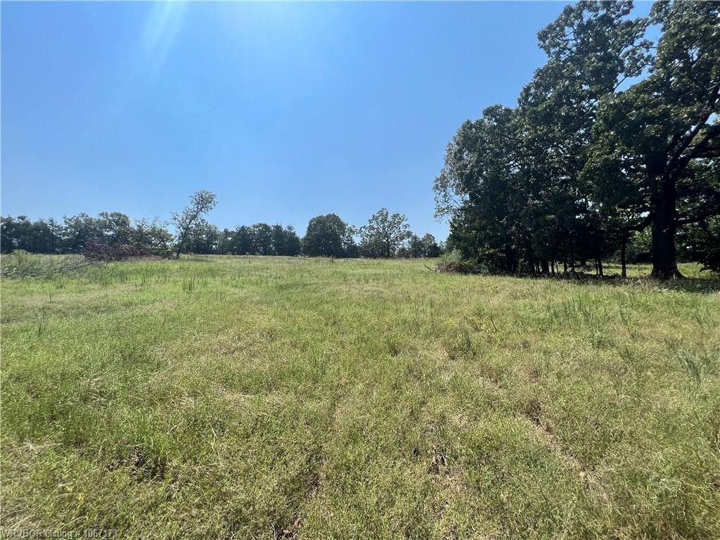 19.51 Acres, TBD Park AVE, Mansfield, AR 72944 Land and Farm