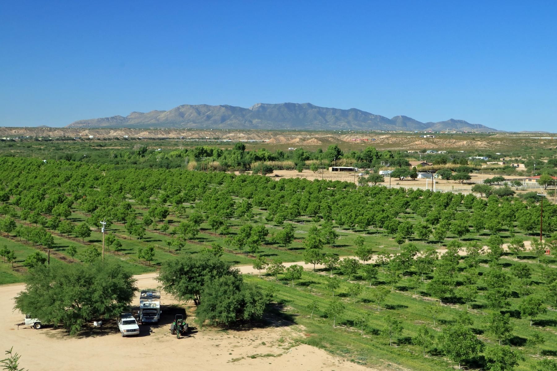 1427 North Ocotillo Road, Benson, AZ 85602 Land and Farm