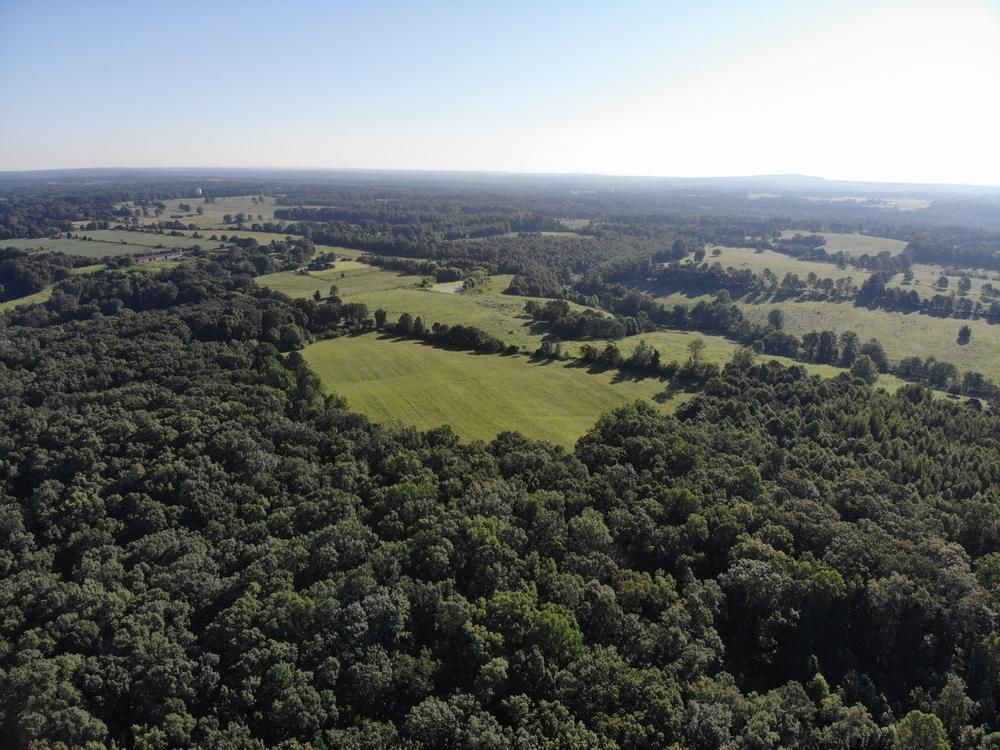 101 Acres, 696 County Road 234, Fort Payne, AL 35967 Land and Farm