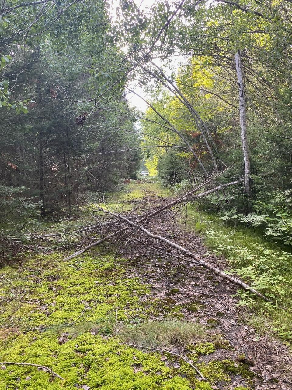 16 Acres, 16ac CTH A, Three Lakes, WI 54562 Land and Farm