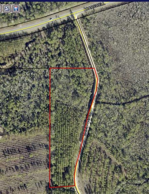 4.19 Acres, 0 Carswell Ave, Waycross, GA 31503 Land and Farm