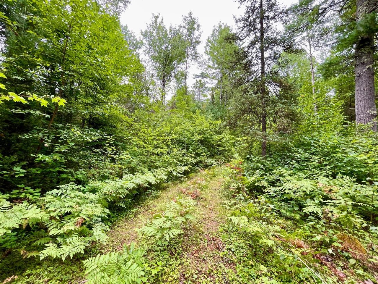 40 Acres, Off FIRE LANE RD, Conover, WI 54519 Land and Farm