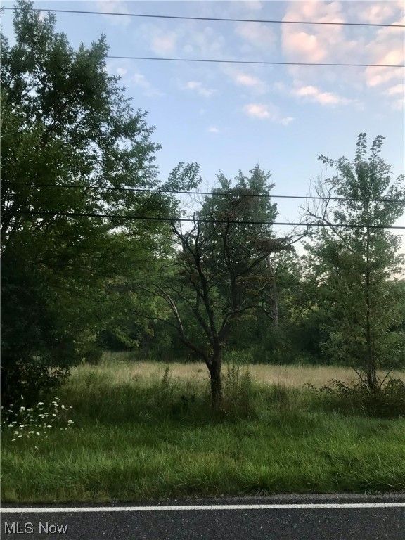 5.42 Acres, Brimfield Drive, Kent, OH 44240 Land and Farm