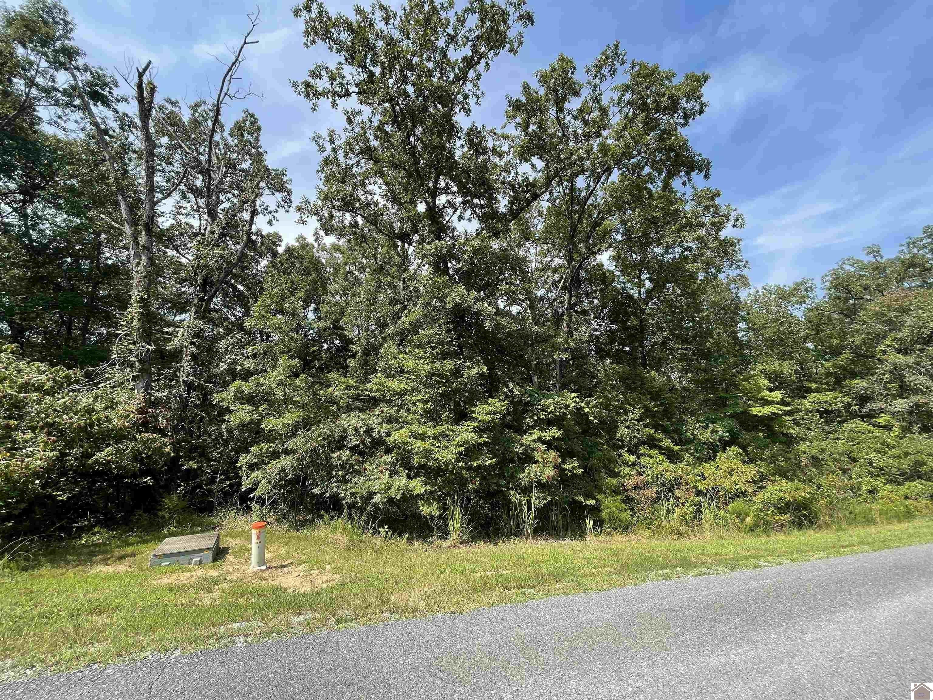 2.13 Acres, Deepwood Drive, Murray, KY 42071 Land and Farm