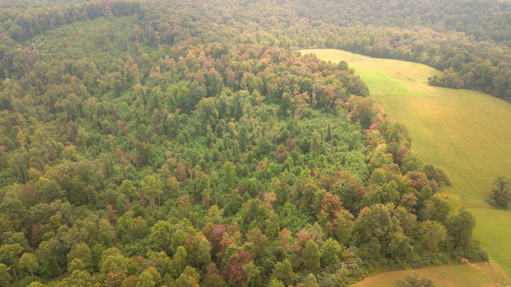 Oppy Hill Road, Otway, OH 45657 MLS Scioto County Ohio Land for Sale