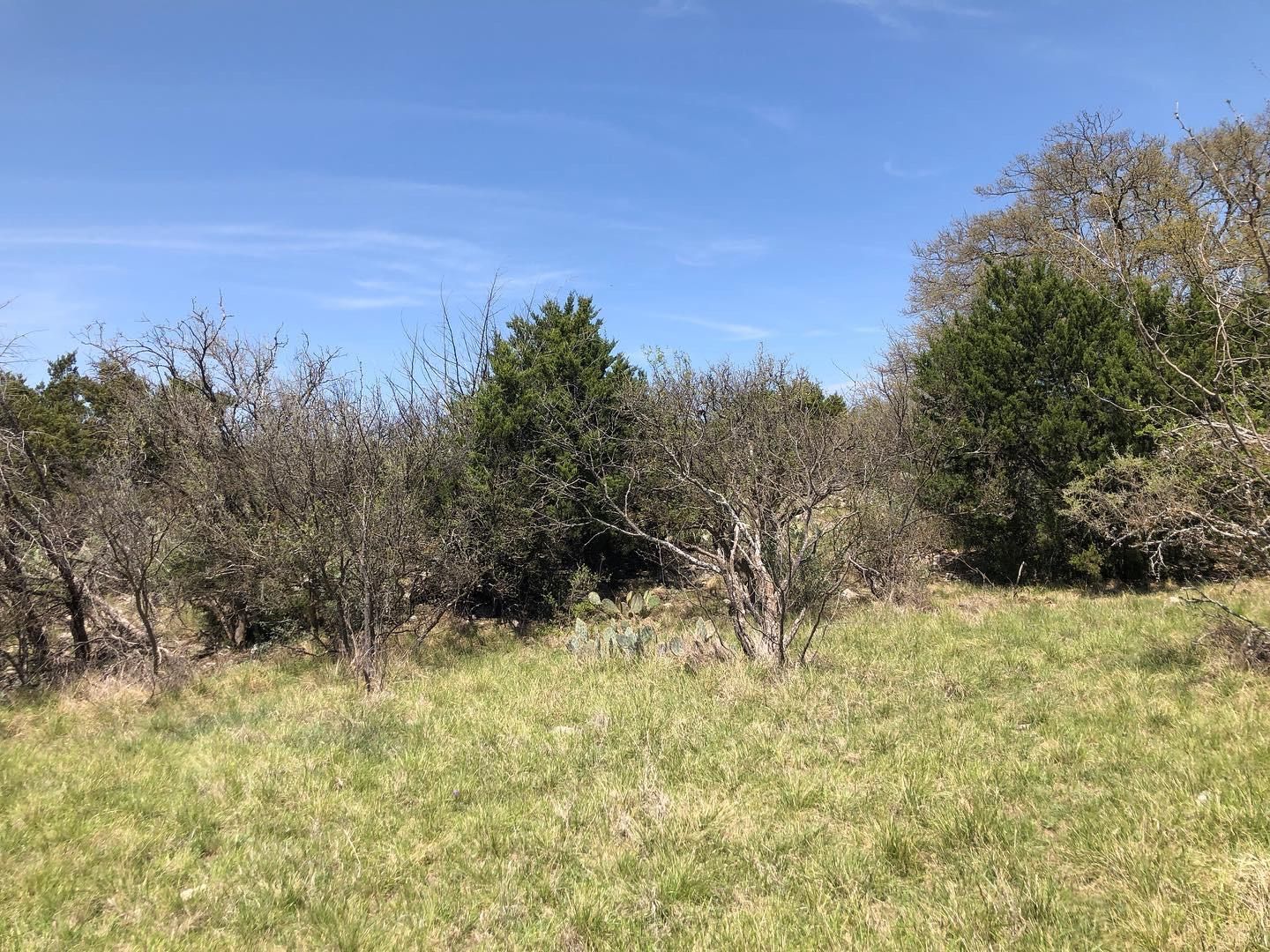24 acres in Rocksprings, TX, 78880 Land and Farm