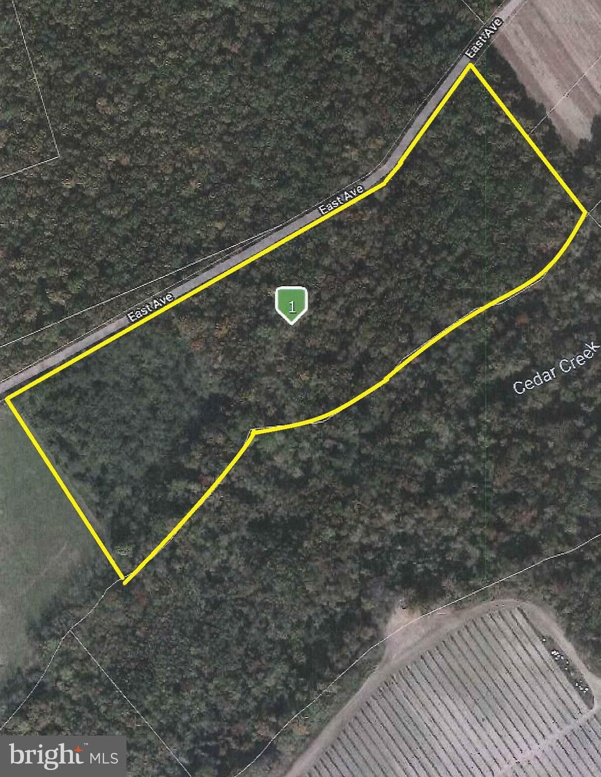 190 EAST AVENUE, Cedarville, NJ 08311 MLS NJCB2014166 Land and Farm