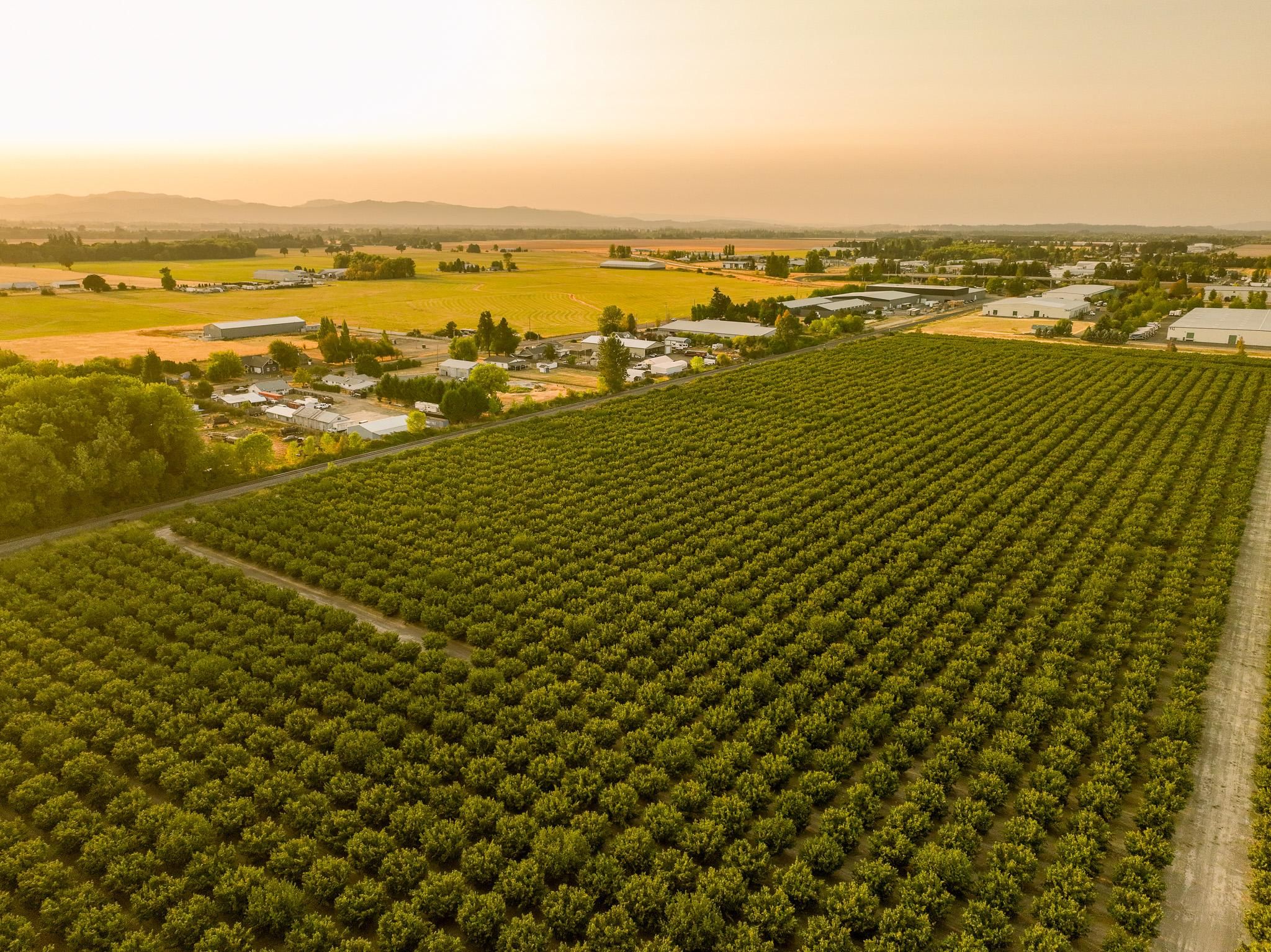 Tangent Drive, Tangent, OR 97389 Land and Farm