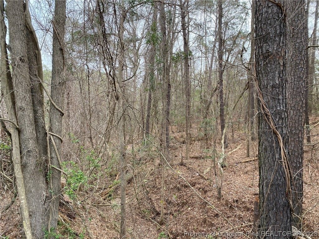 2.19 Acres, Gillespie Street, Fayetteville, NC 28306 Land and Farm